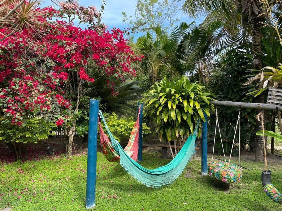 Casa Das Falesias 库穆鲁沙蒂巴 外观 照片